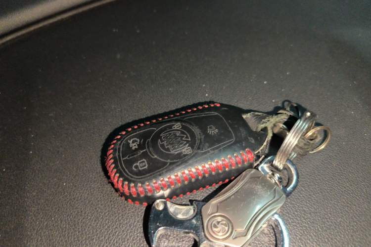 Used Buick Regal 2019 20T Elite Version China VI Standard