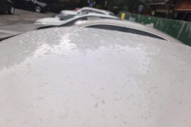 Used Skoda Rapid 2016 1.6L Automatic Front-Wheel Drive Model
