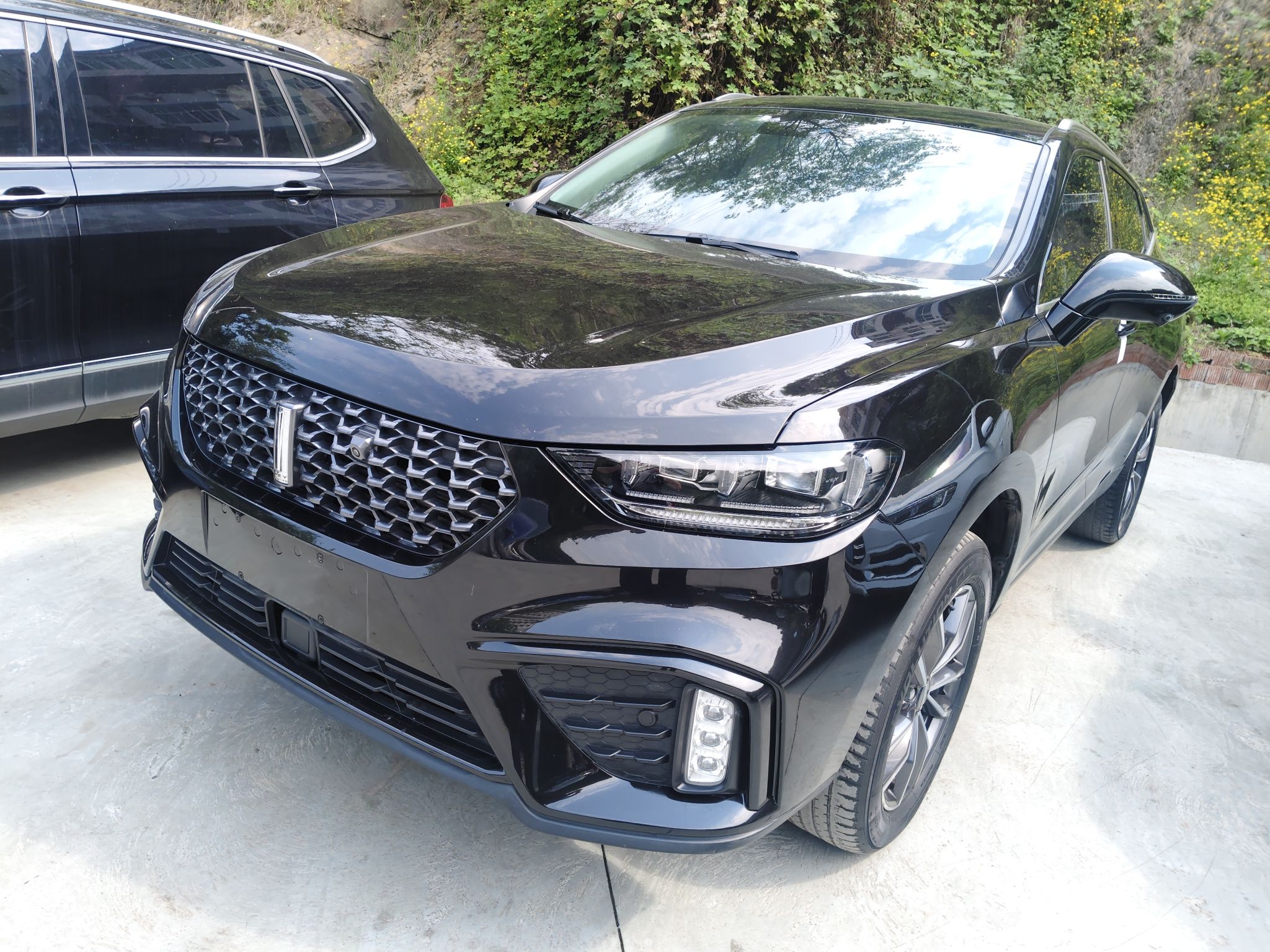 Parte inferior delantera