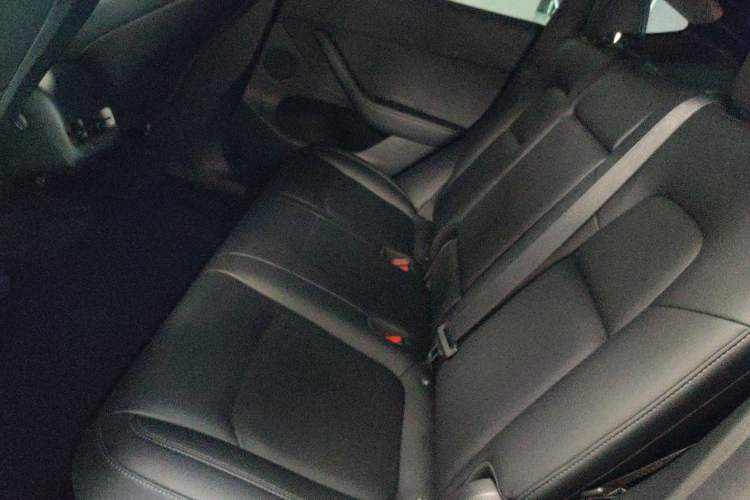 Used Tesla Model Y 2021 Standard Range Rear-Wheel Drive Version Left Rear Seat