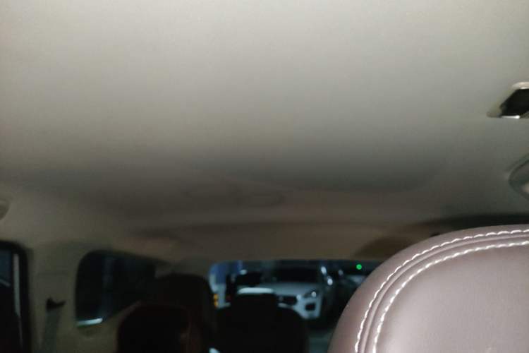 Used Livan Maple 80V 