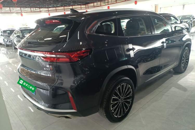 Used EXEED Lingyun 2025 300T Two-Wheel Drive Starry Edition
