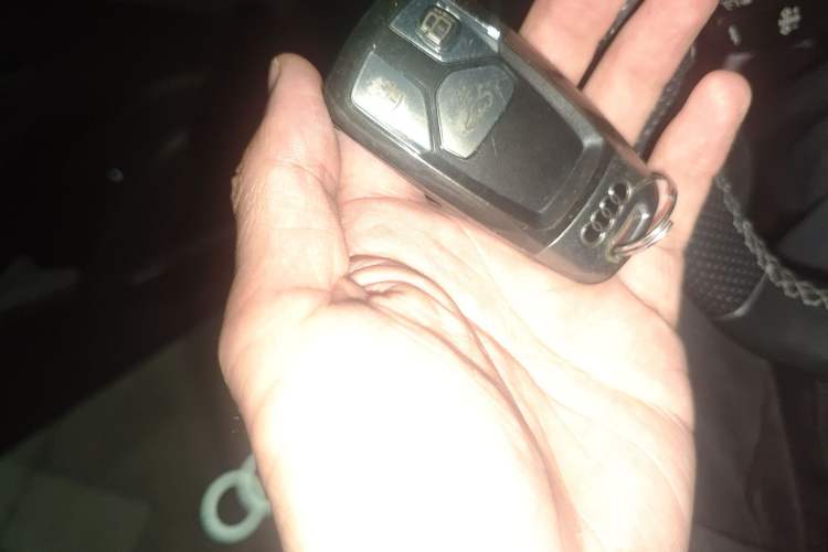 Used Audi Q5L 2022 45T Luxury Dynamic Model
