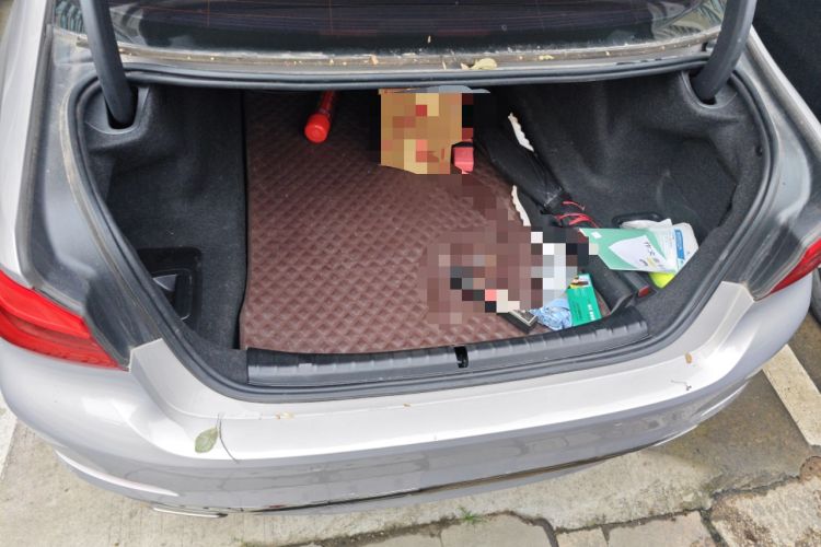 Used BMW 5 Series 2019 530Li Leading Model Luxury Package