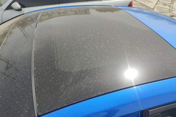 Used Ford Focus 2019 Sedan EcoBoost 180 Automatic Trend Edition Roof