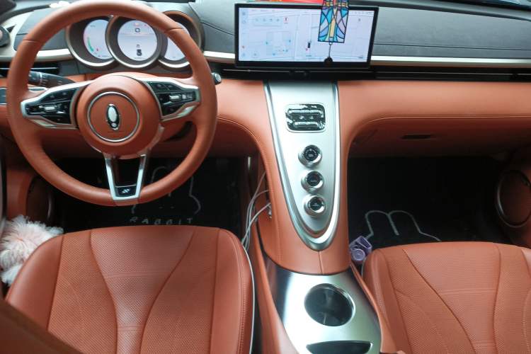 Used ORA Lightning Cat 2022 555 km Luxury Edition