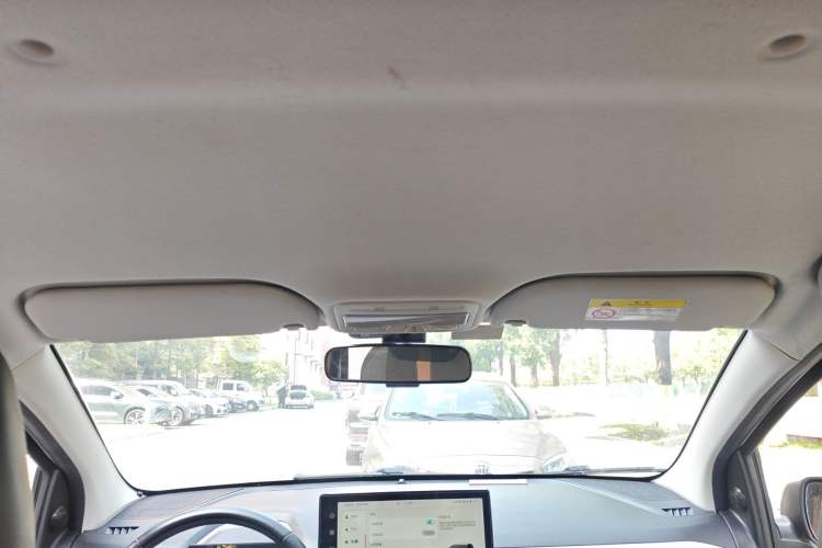 Used SOL E10X 2022 Flower Fairy Style Baby's Breath