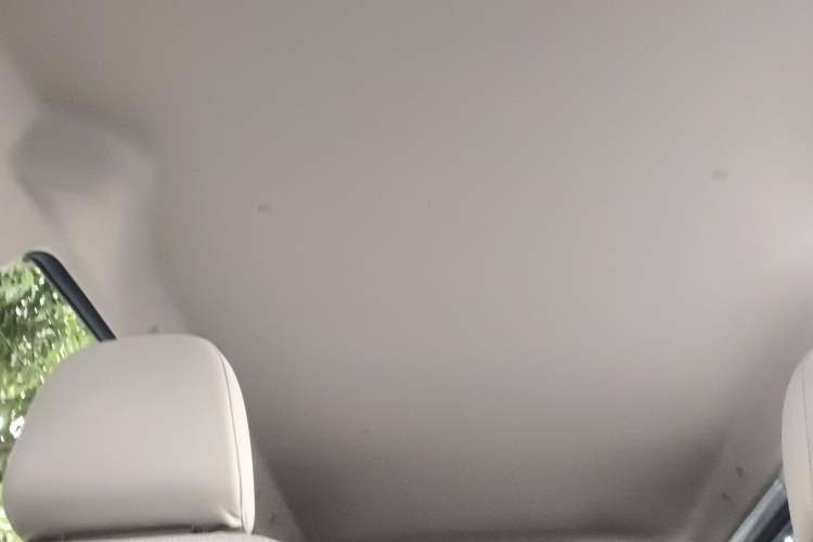 Used Wuling Hongguang V 2022 1.5L Jingqu Edition Electric-Assist LAR Headliner