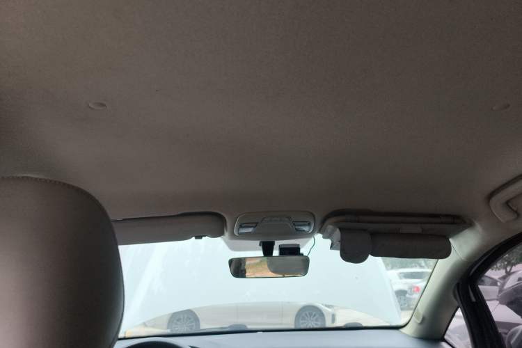 Used Livan Maple 30X 2020 Style Edition
