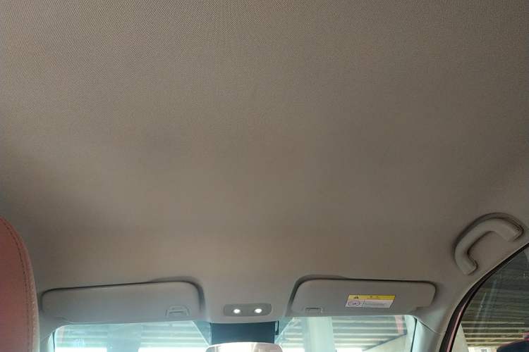 Used NETA V 2021 Witch Edition
