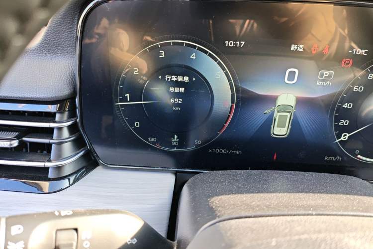 Used Hongqi HS5 2025 2.0T Two-Wheel Drive 600 000-Vehicle Commemorative Edition