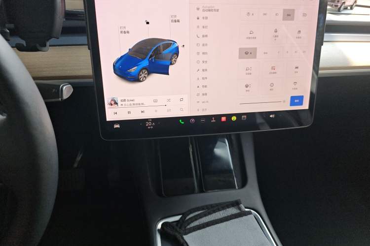 Used Tesla Model Y 2021 Standard Range Rear-Wheel Drive Version
