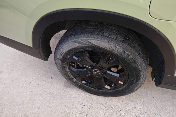 Used Radar Horizon 2023 550 km Creator Edition Exterior 3