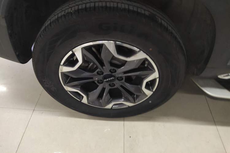 Used Haval DARGO 2021 2.0T DCT 4x4 Chinese Rural Dog Edition
