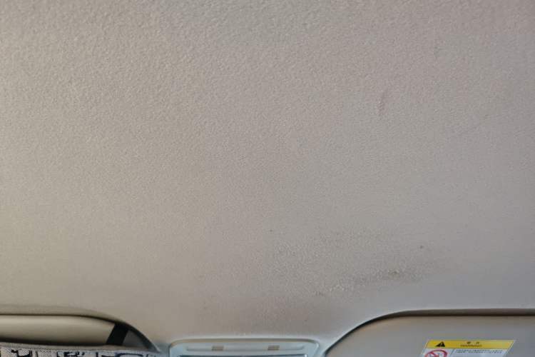 Used SOL E10X 2022 Flower Fairy Style Baby's Breath Headliner