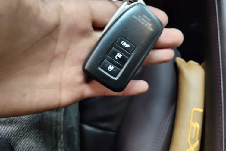 Used Lexus RX 2020 300 4x4 Elegant Edition China VI
