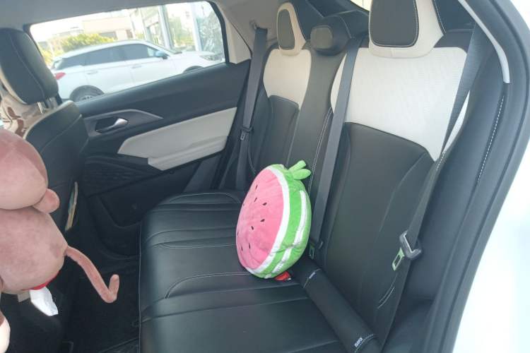 Used Geometry E Firefly 2024 301km Starlight
