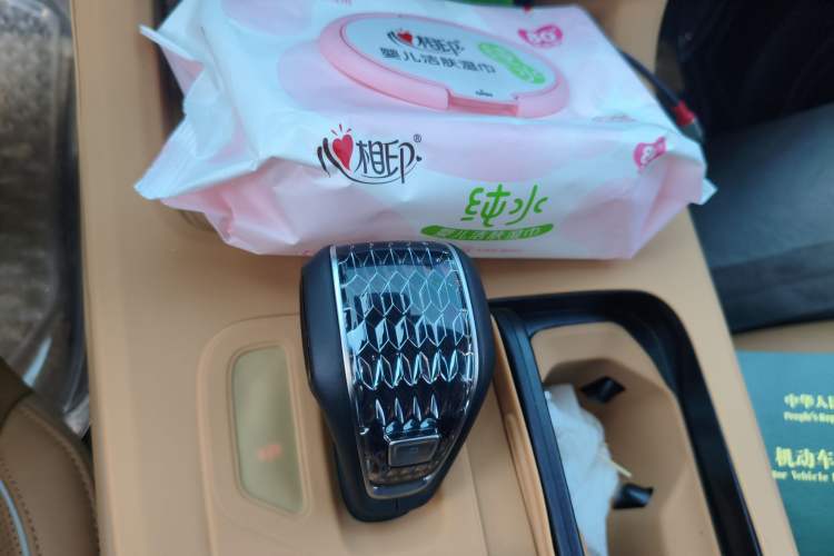 Used GAC Trumpchi GS8 2025 Linghang Series 2.0 TGDI Two-Wheel-Drive Luxury Edition 5 Seats