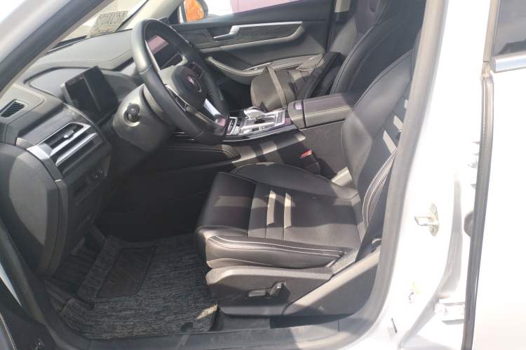 Used BYD Qin New Energy 2019 High-Range Luxury Model Left Front Seat