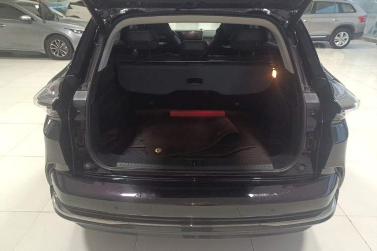 Used NETA U 2022 NETA U-Ⅱ 500 Lithium Iron Phosphate