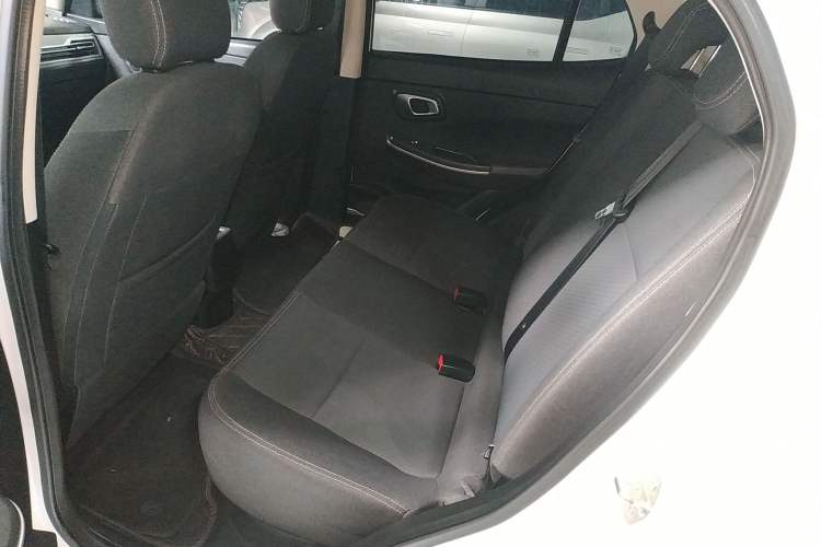 Used Dayun Yuehu 2022 300 Standard Edition