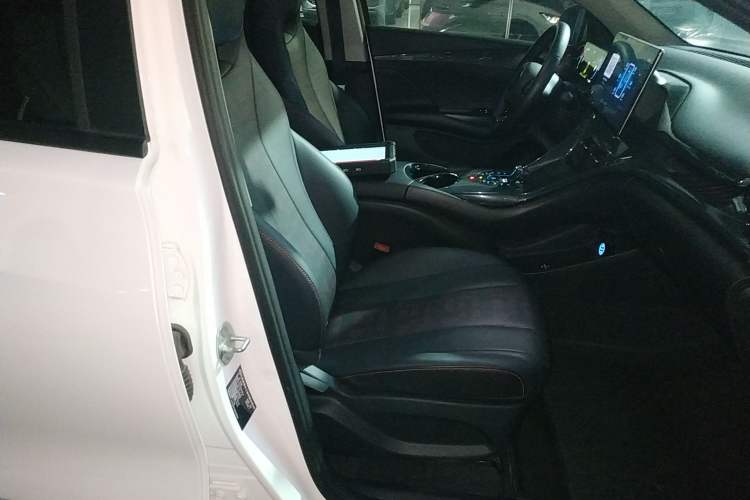 Used BYD e2 2024 Honor Edition Luxury Model Right Front Seat