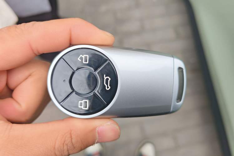 Used ORA Good Cat 2022 Morandi Edition 400km Standard Range Luxury Version Lithium-Ion Battery
