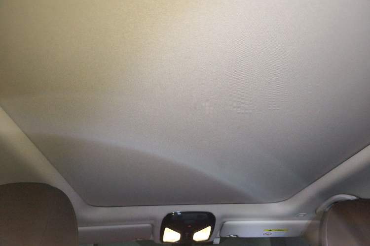 Used BMW 3 Series 2021 320Li M Sport Package Headliner