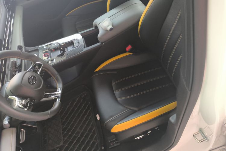 Used GAC Trumpchi EMPOW 2023 Shadow Leopard H Smart Hybrid Edition Left Front Seat