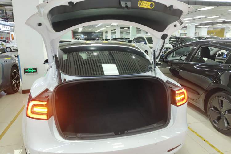 Used Tesla Model 3 2022 Performance High-Performance All-Wheel-Drive Version