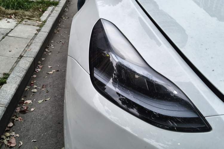 Used Tesla Model Y 2023 Rear-Wheel-Drive Version