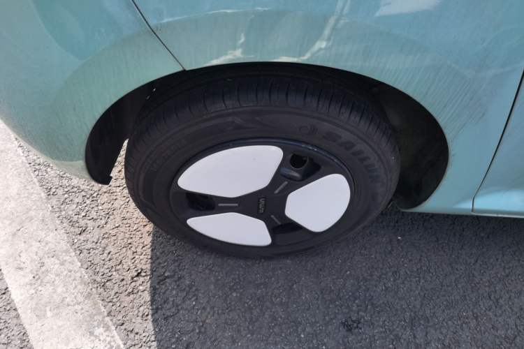 Used Qiyuan Lumin 2023 205km Xiangqin Version
