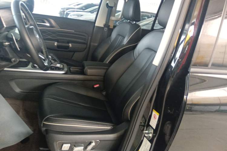 Used Tank 300 2024 2.0T Crosser
