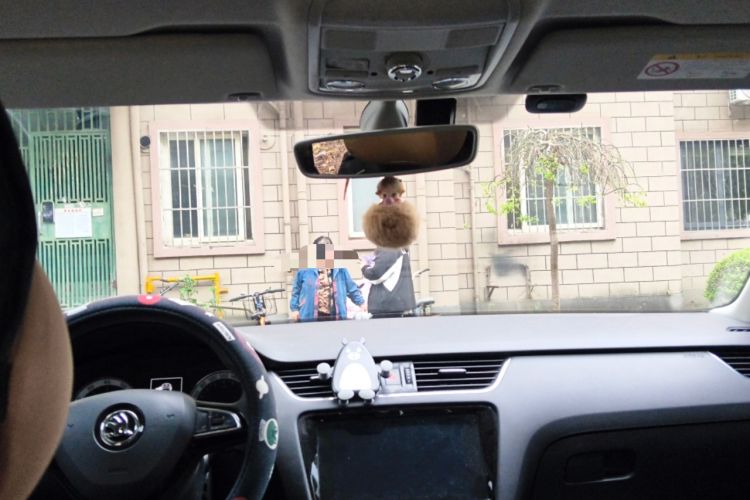 Used Skoda Octavia 2020 1.5L Automatic SmartDrive Luxury Edition Headliner