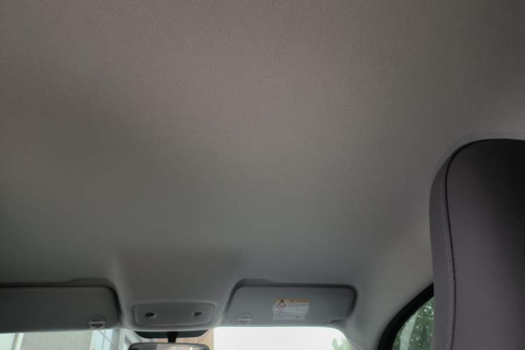 Used Leapmotor T03 2024 310 Comfort Edition Headliner