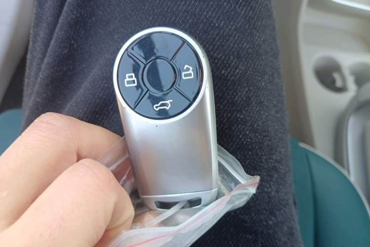 Used ORA Good Cat 2024 401 km Luxury Version