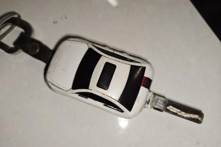 Used Volkswagen Lamando 2019 230TSI DSG Fashion Edition China VI