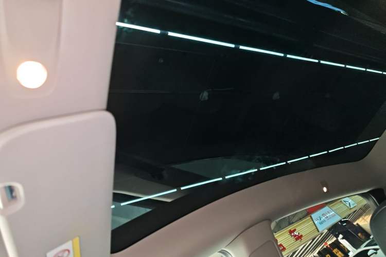 Used Tesla Model Y 2024 Rear-Wheel-Drive Version Headliner