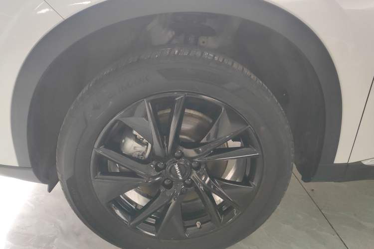 Used Haval H6 2021 3rd Generation 2.0T Automatic Two-Wheel Drive Max
