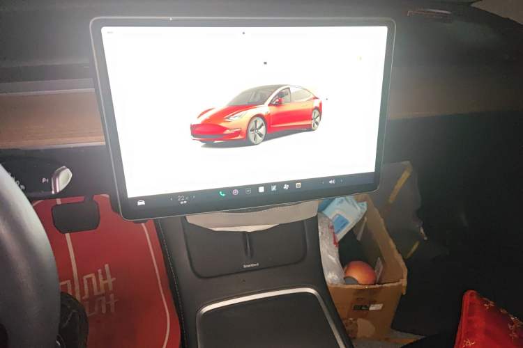 Used Tesla Model 3 2022 Rear-Wheel-Drive Version