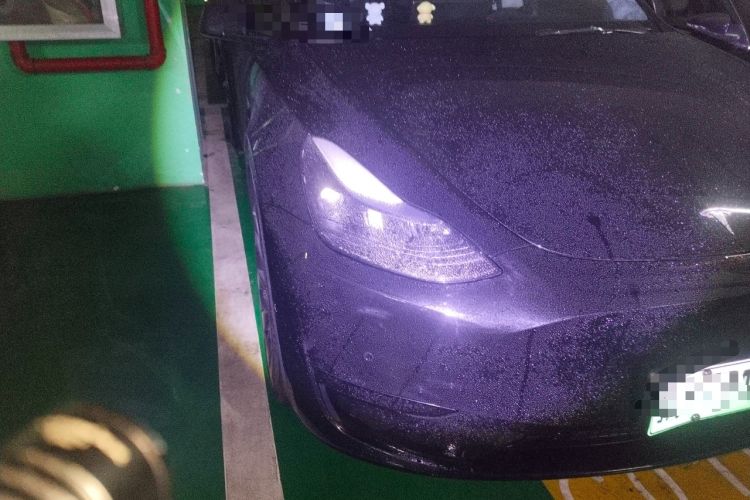 Used Tesla Model Y 2022 Rear-Wheel-Drive Version