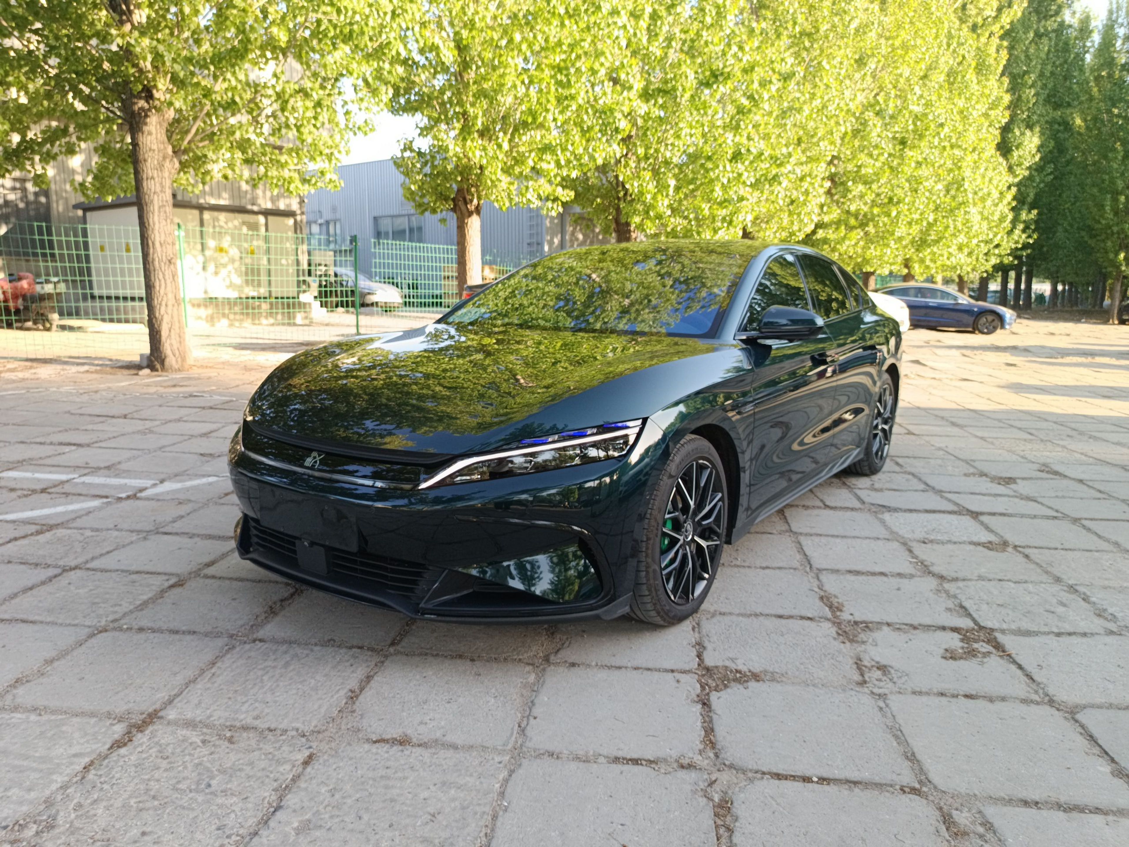 Parte inferior delantera