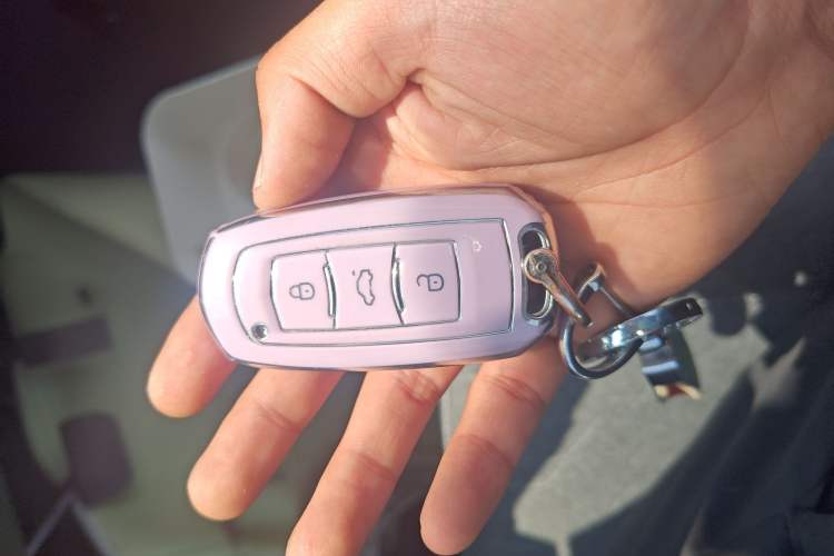 Used Geely Galaxy Panda 2023 Panda Mini 200km Dynamic Bear Interior 1