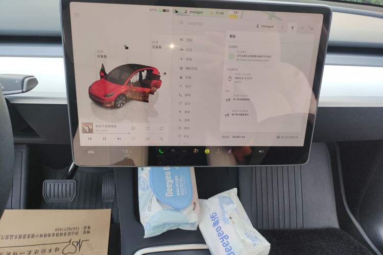 Used Tesla Model Y 2022 Rear-Wheel-Drive Version