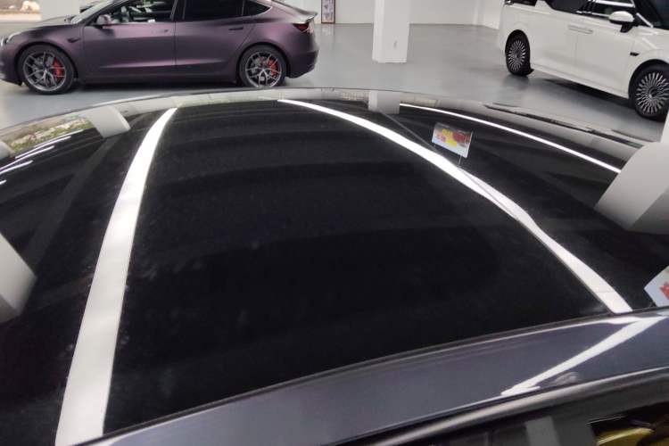 Used Tesla Model 3 2022 Performance High-Performance All-Wheel-Drive Version Roof