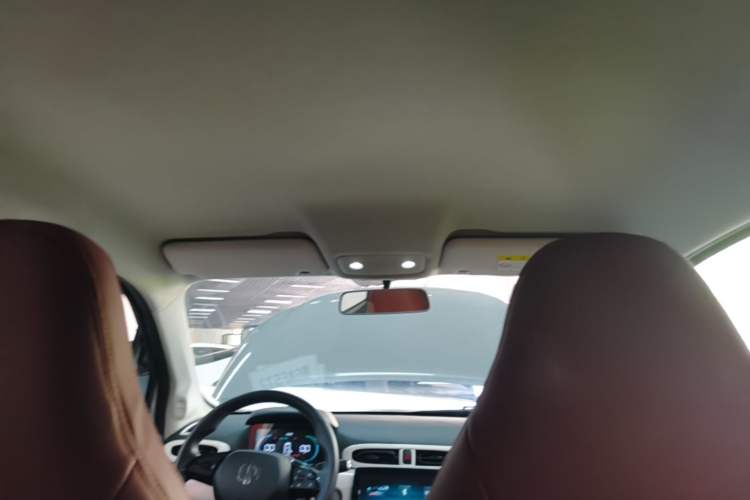 Used Leapmotor T03 2023 200 Lite Edition Headliner