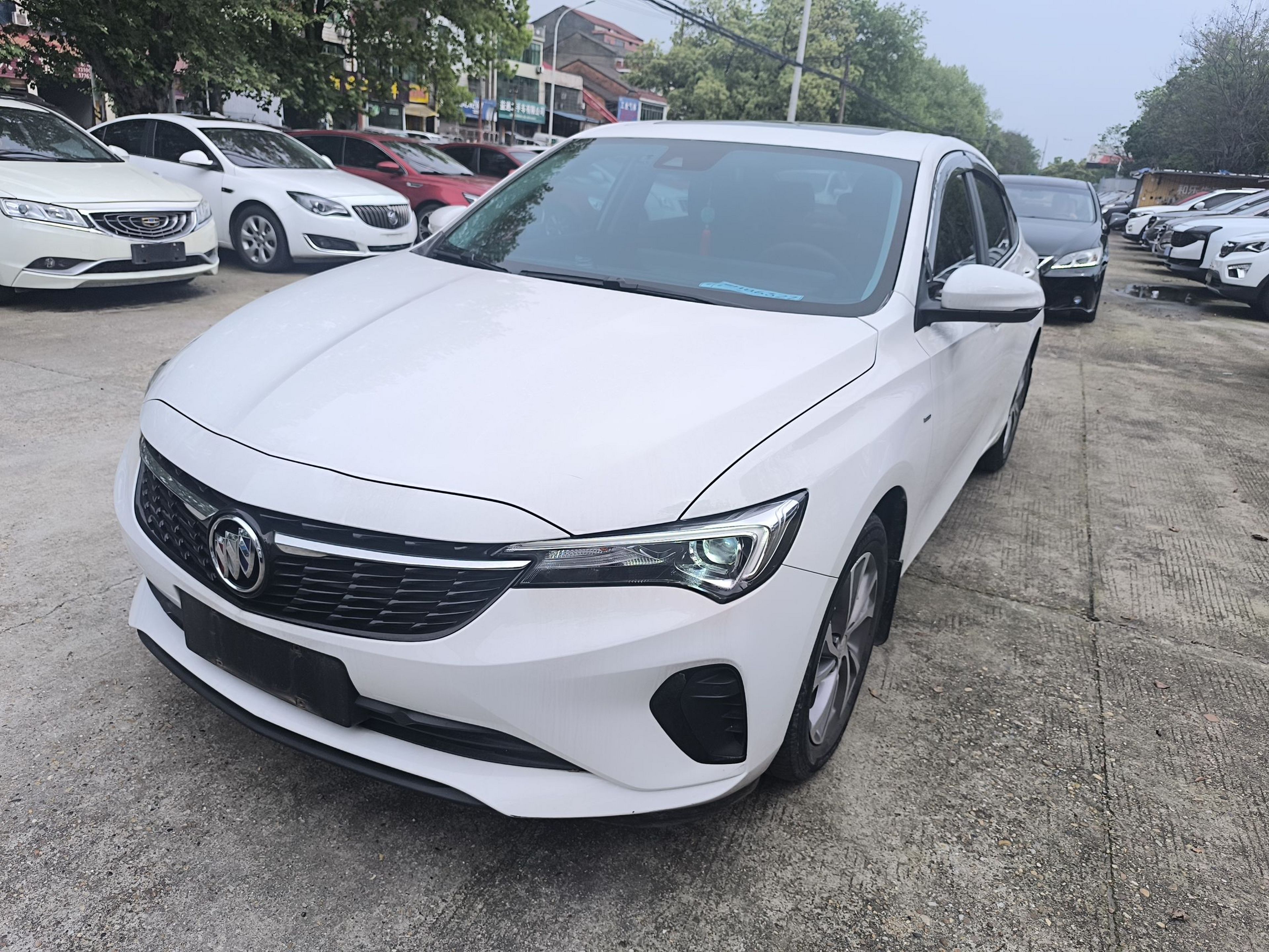 Parte inferior delantera