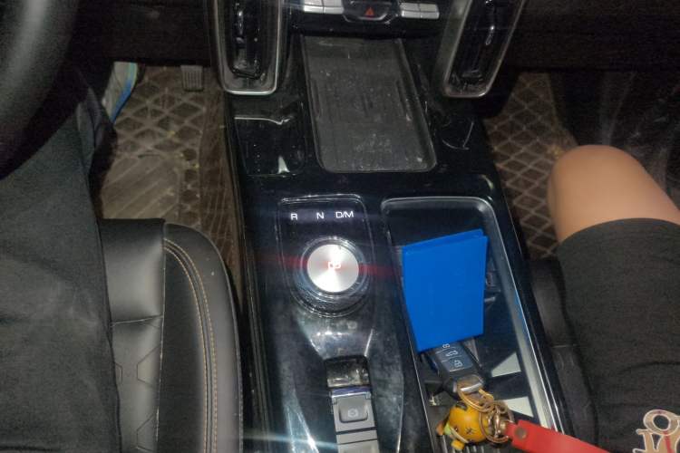 Used Haval DARGO 2022 2.0T DCT 4x4 Chinese Rural Dog Edition