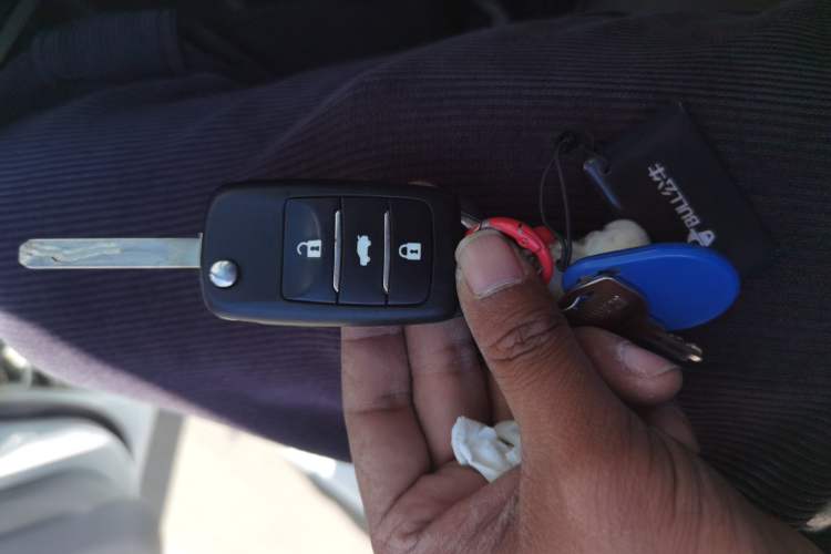 Used CHANGAN NEVO Lumin 2025 205 km Xiangqin Version
