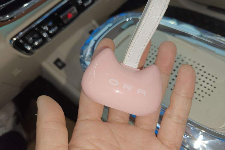 Used ORA Ballet Cat 2023 401 km Luxury Version
